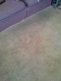 Bournemouth Carpet and Upholstery Cleaning 358985 Image 7